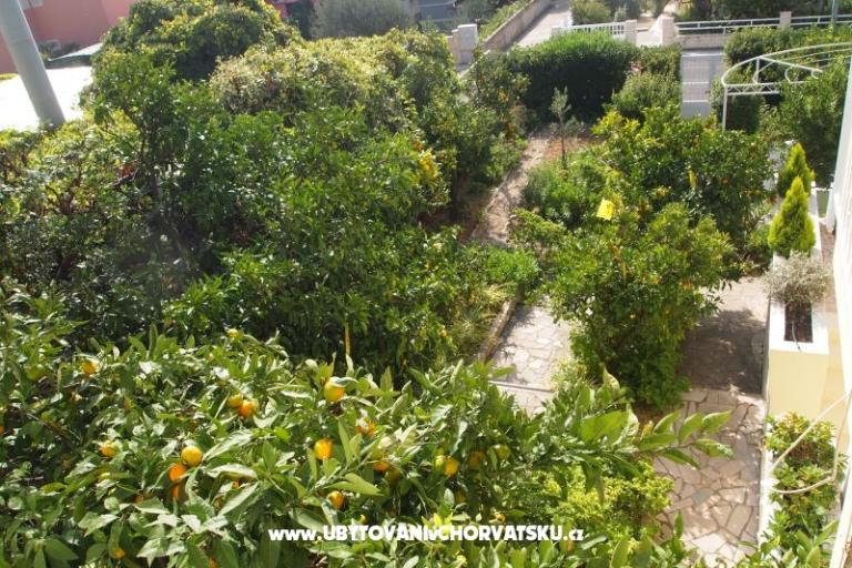 Villa Fani – foto 9