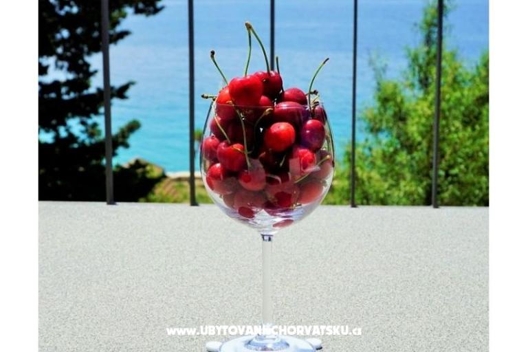 Apartmány ARBAN – foto 16