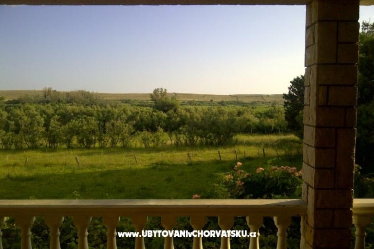 Apartmány Ćurić Povljana – foto 3
