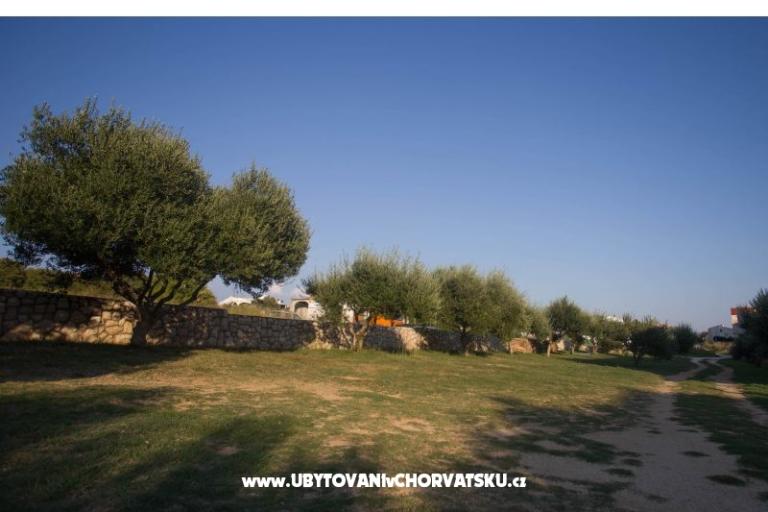 Apartmány Dobre – foto 13