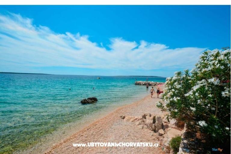 Apartmány Kamelija – foto 3