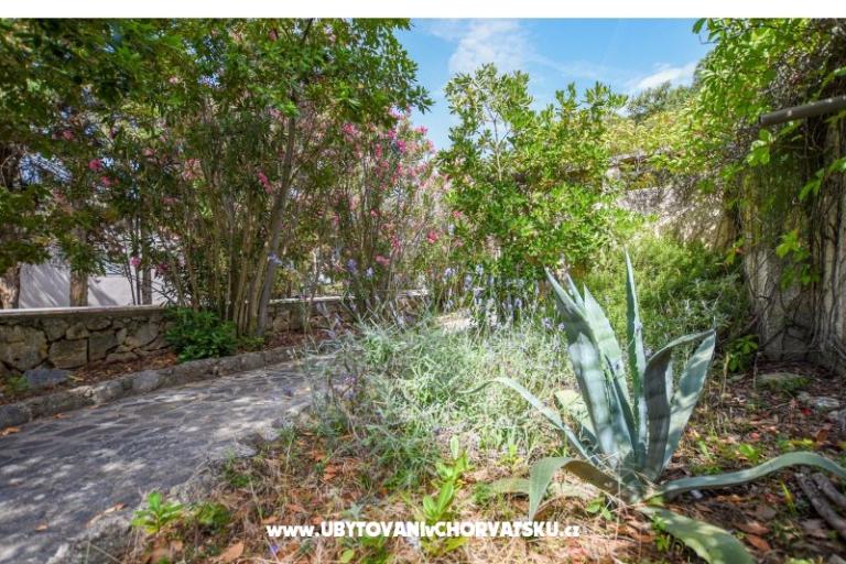 Apartmány Oleandra – foto 6
