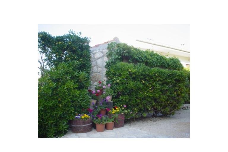 Apartmány Pag – foto 10