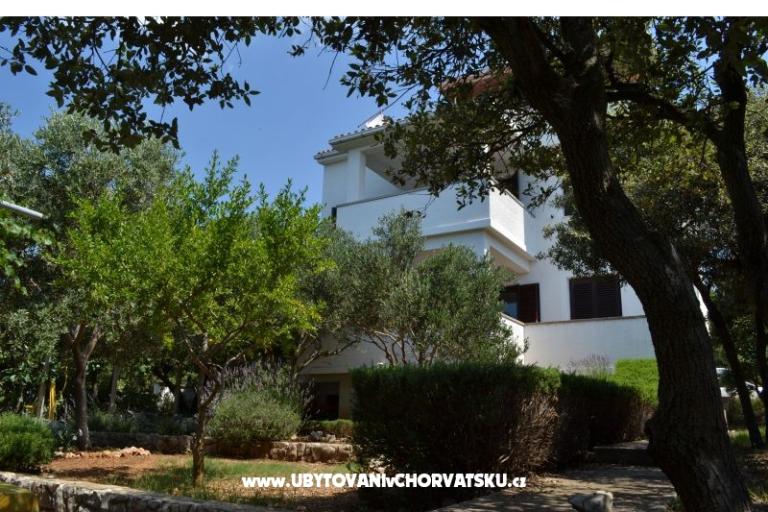 Apartmány Salvia island Pag Mandre – foto 14