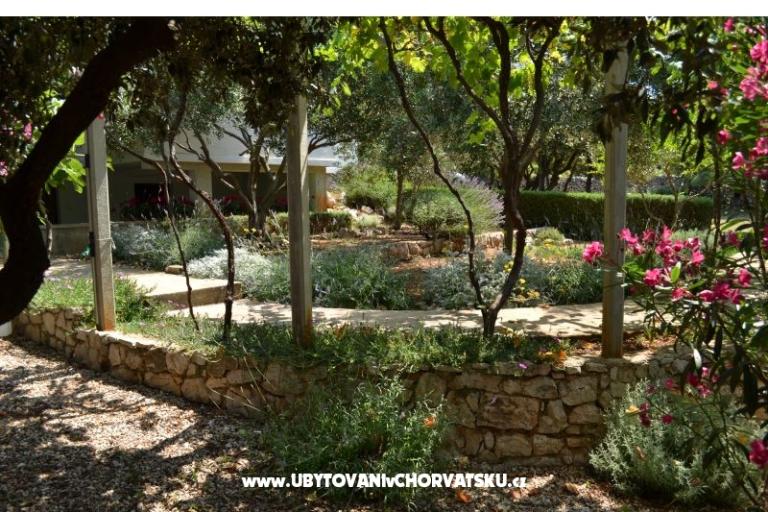 Apartmány Salvia island Pag Mandre – foto 15