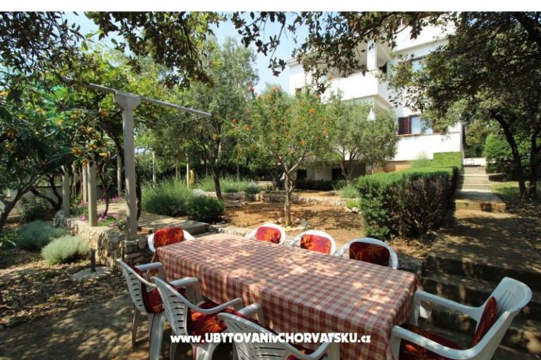 Apartmány Salvia island Pag Mandre – foto 6