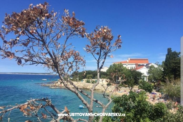 Apartmány Mandre – foto 6