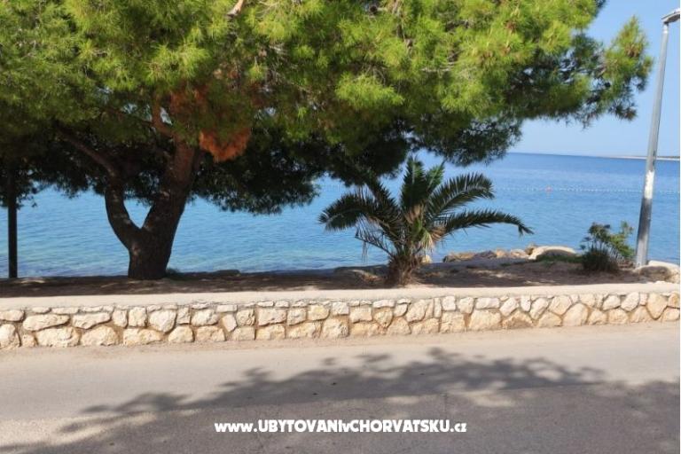 Dolphin view + pool by the beach – foto 7