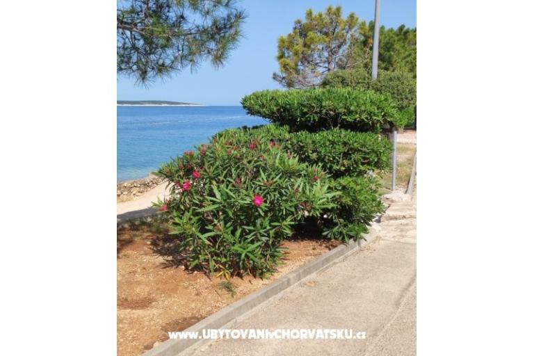 Dolphin view + pool by the beach – foto 8