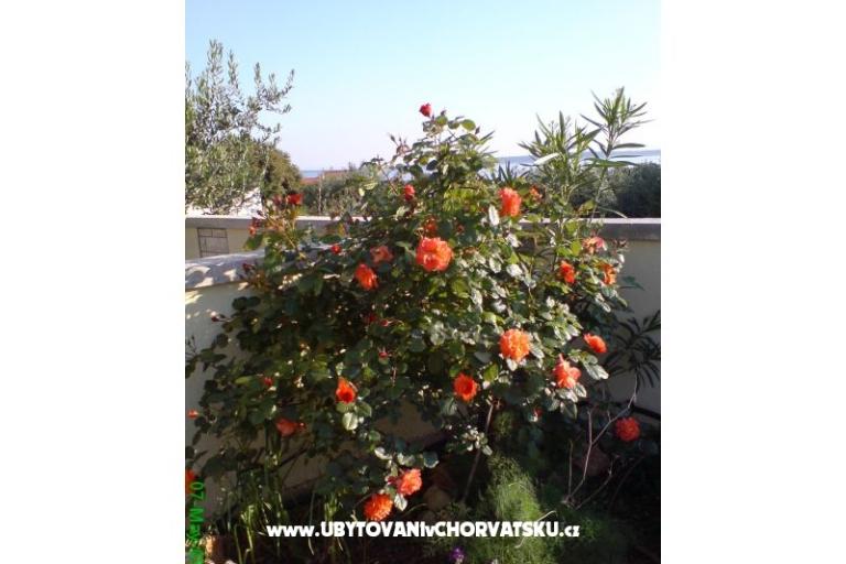 Marea Apartmány Mandre – foto 6