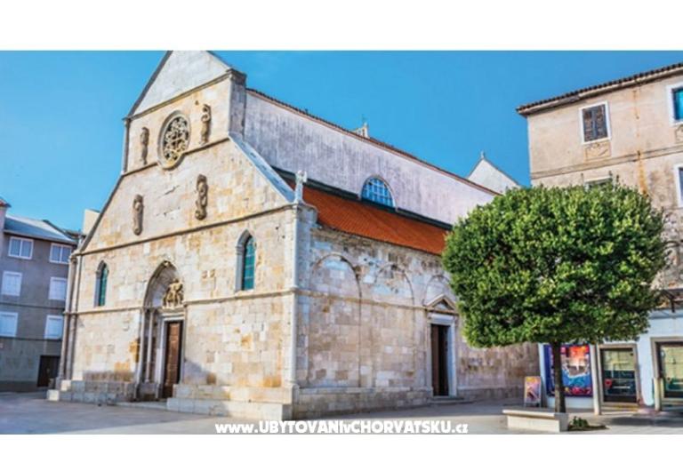 Premium Zec – foto 5