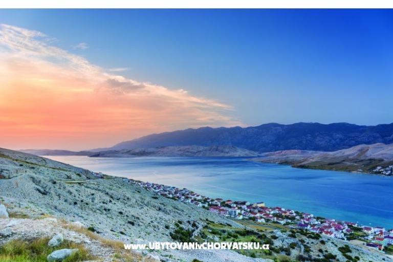 Premium Zec – foto 7