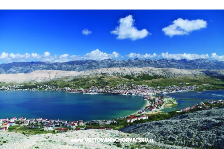 Premium Zec – foto 8