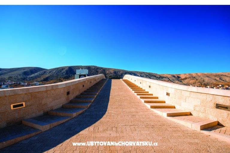 Premium Zec – foto 9