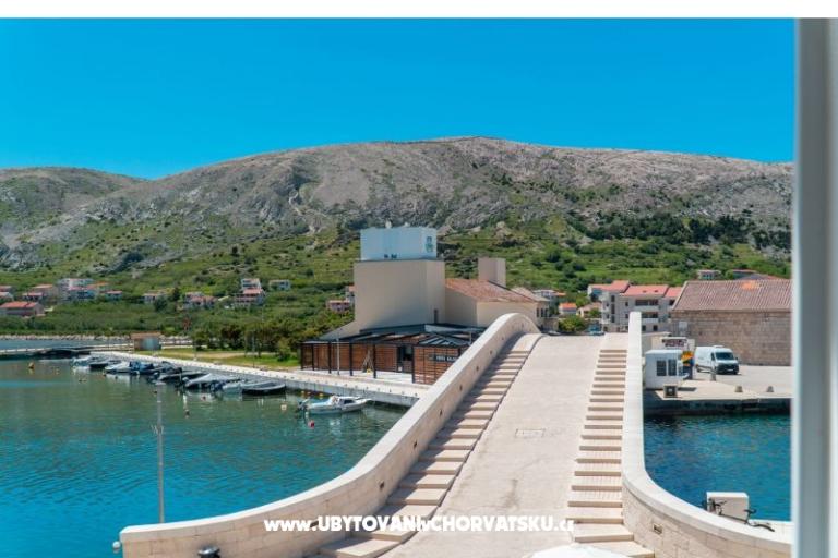 Premium Zec – foto 12