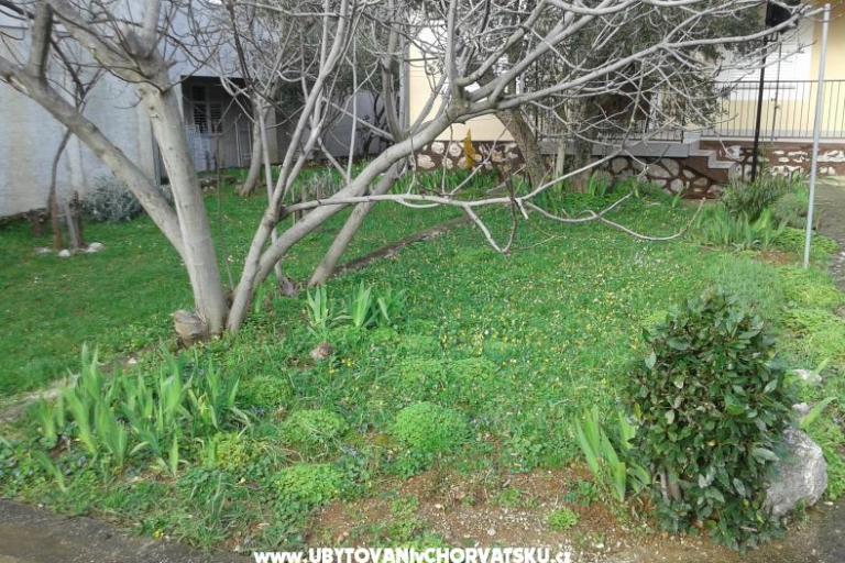 Apartmán - Dom  Milka – foto 4