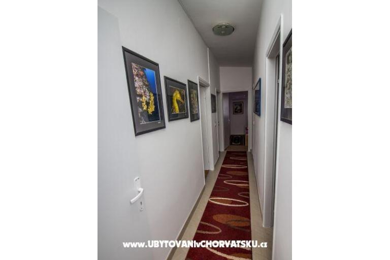 Apartmány Irena – foto 10