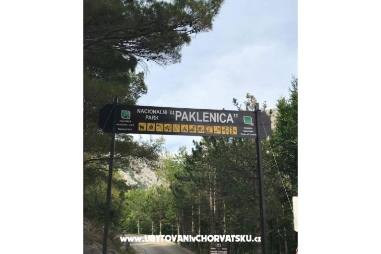 Apartmány Merion – foto 8