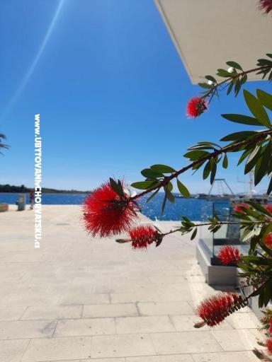 Apartmány Tomic – foto 10
