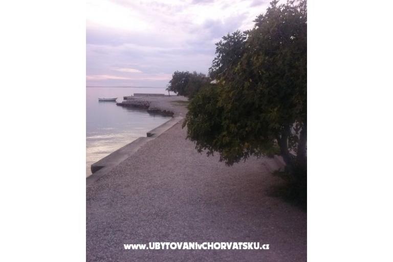 Apartmány Vitrenik – foto 5