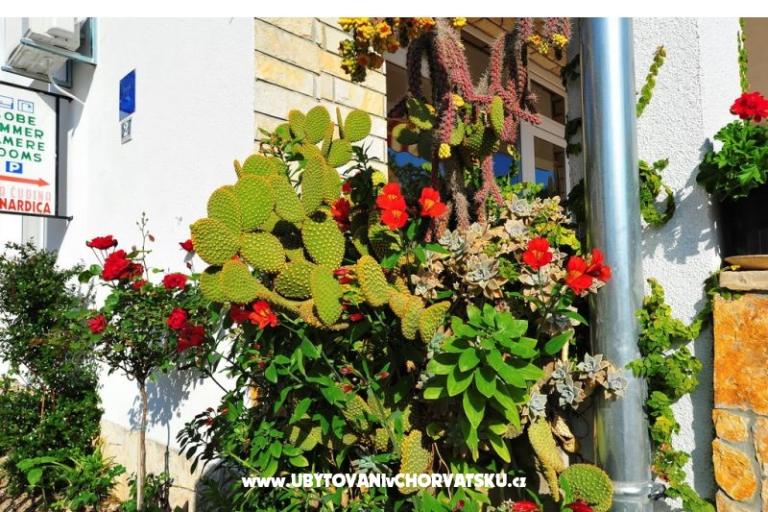 Apartmány Bernardica – foto 10