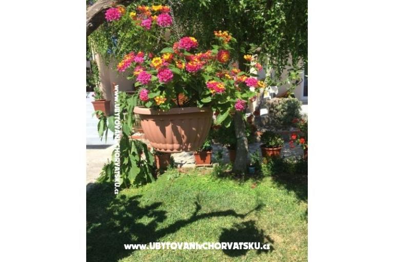 Apartmány Jasa  – foto 15