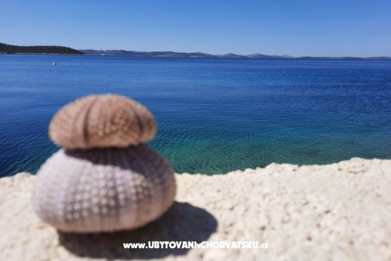 Apartmány Kaliger – foto 18