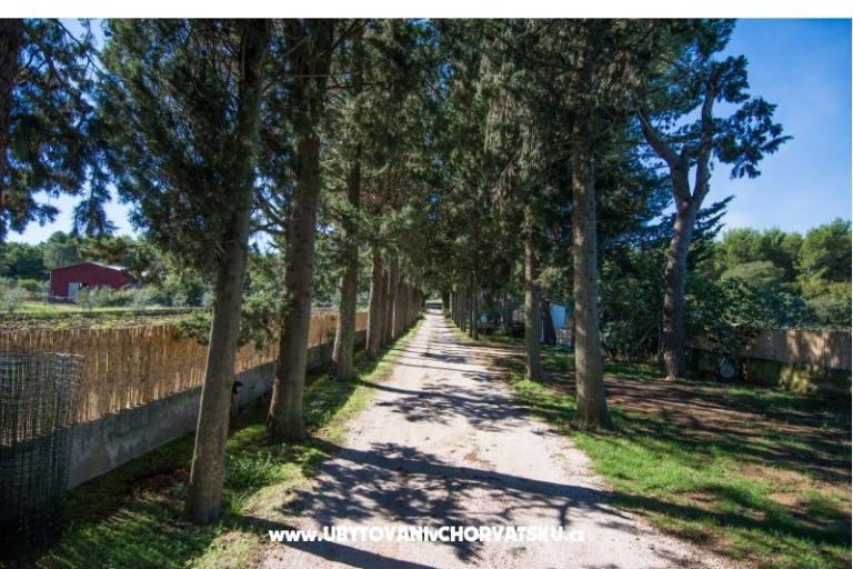 Apartmány Kukin – foto 14