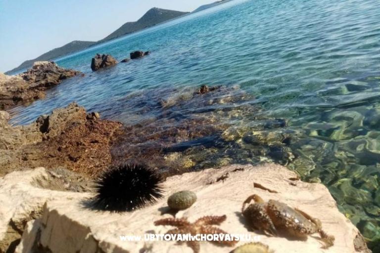 Apartmány Nakić – foto 22