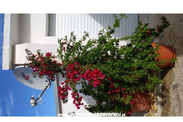 Apartmány Pipi – foto 12