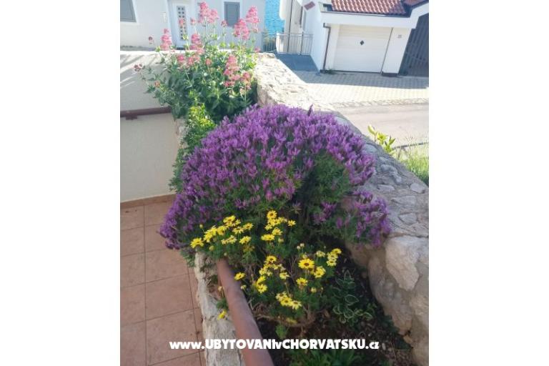 Apartmány Šimun – foto 11