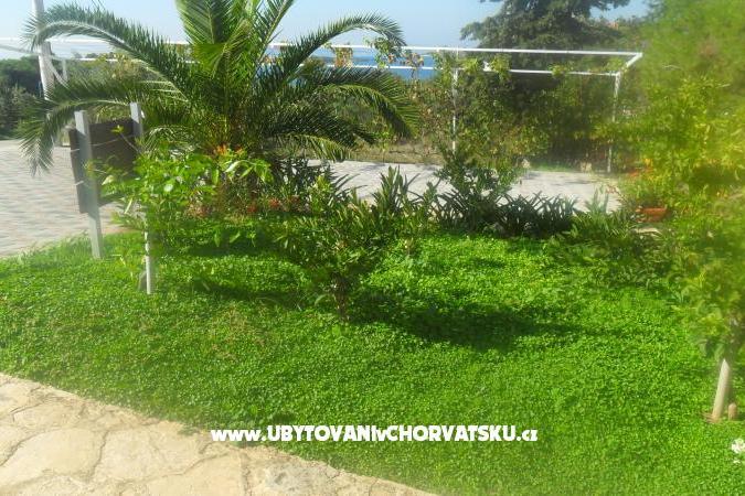 Apartmány Leo – foto 13