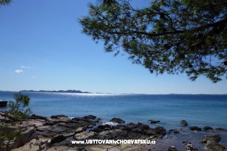 Pine Villa – foto 11