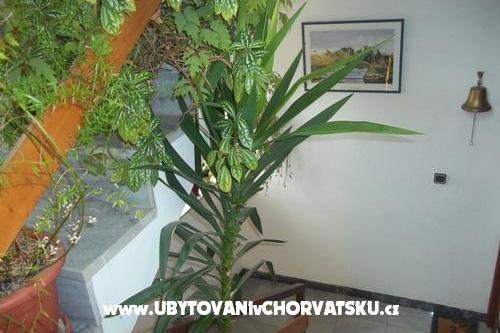 Apartmány Dragica Pedisic – foto 9