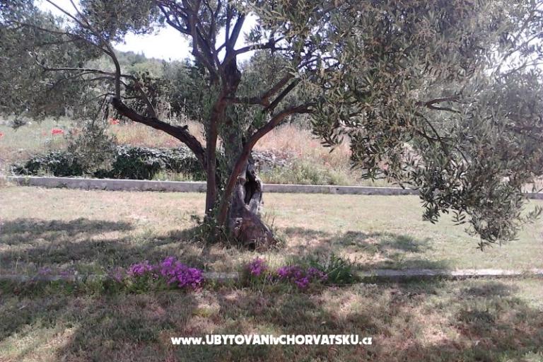 Apartmány Villa Banjka – foto 17