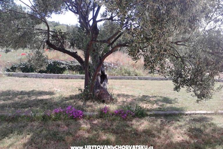 Apartmány Villa Banjka – foto 8