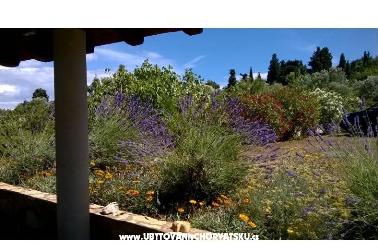 Apartmány Villa Banjka – foto 9