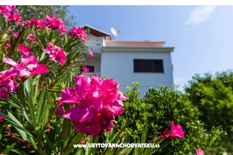 Apartmány Ivanka – foto 4
