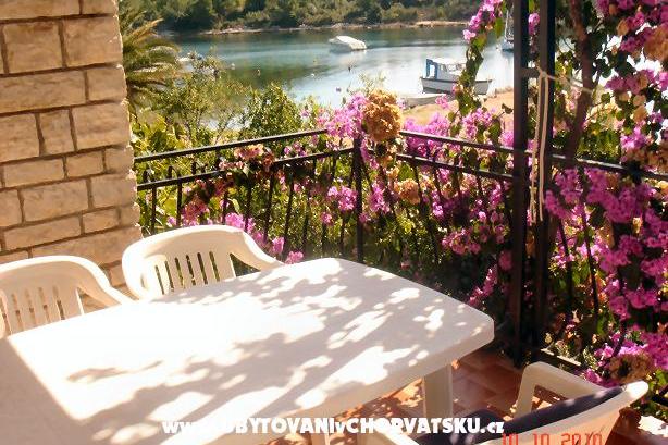 Dalmatio apartments – foto 6