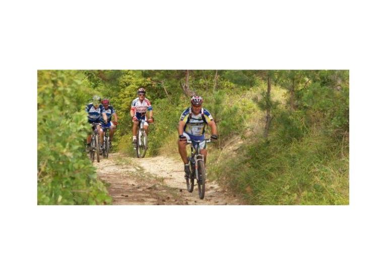 Apartmány Lucić – foto 16