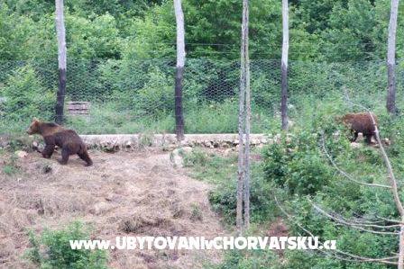 Izby Magdić – foto 14