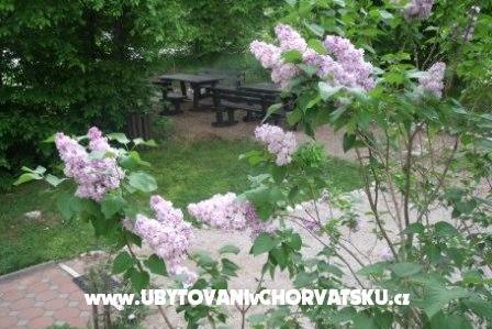 Izby Veronika – foto 13