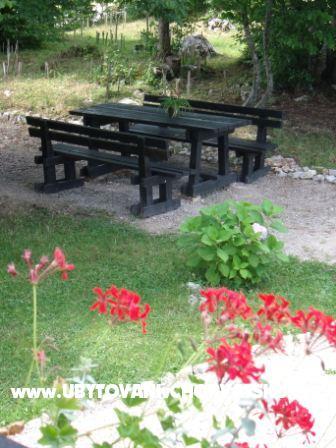 Izby Veronika – foto 6