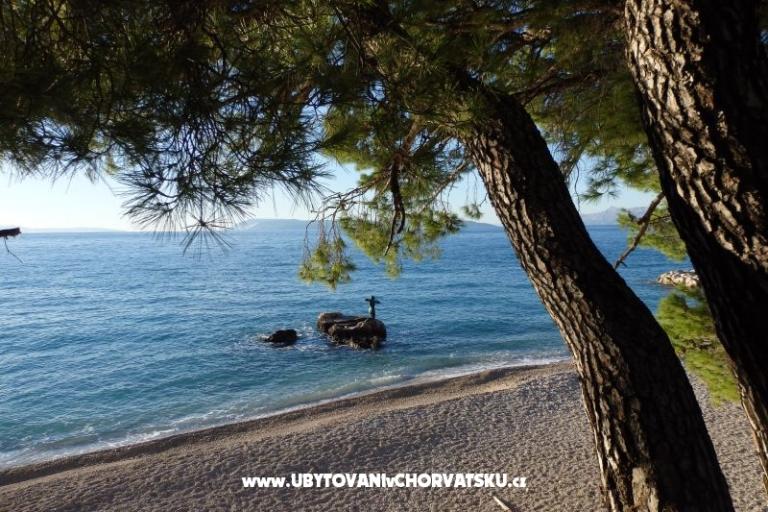 Apartmán Arte – foto 17