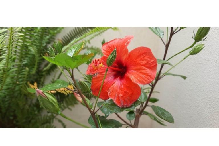 Apartmány Mila – foto 12