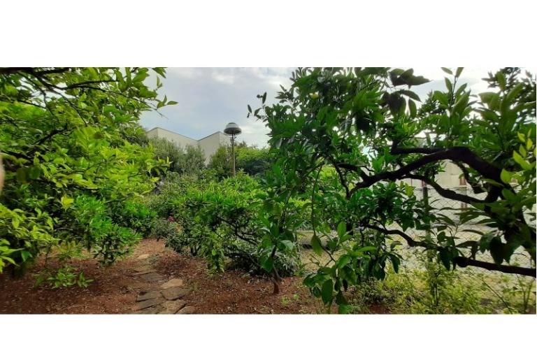 Apartmány Mila – foto 3