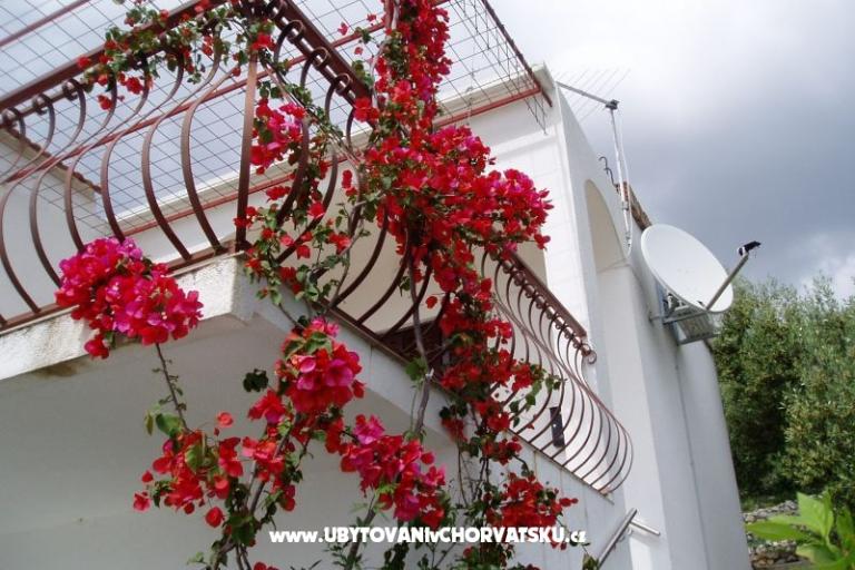 Apartmán Vito – foto 2