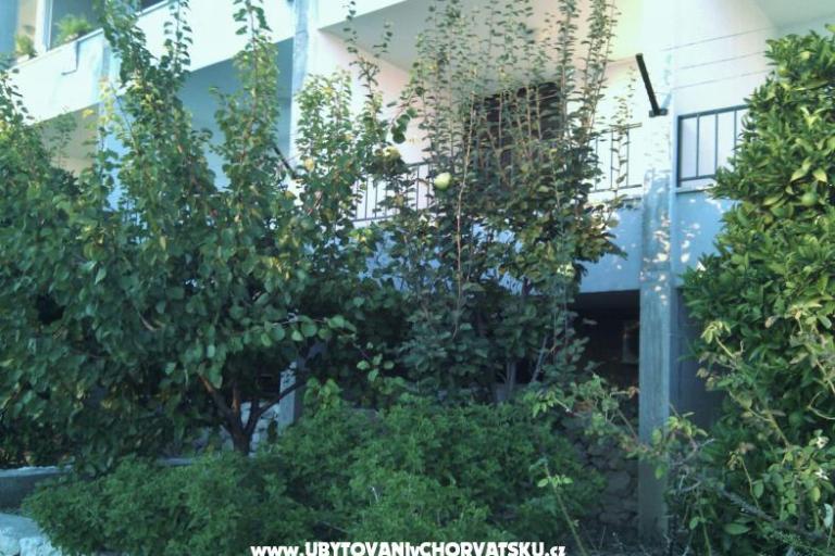 Apartmány Brusje – foto 3