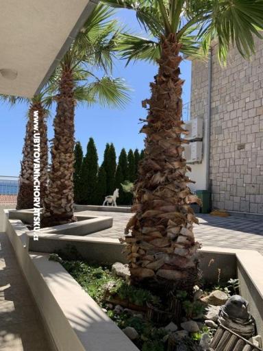Apartmány Botuš – foto 3