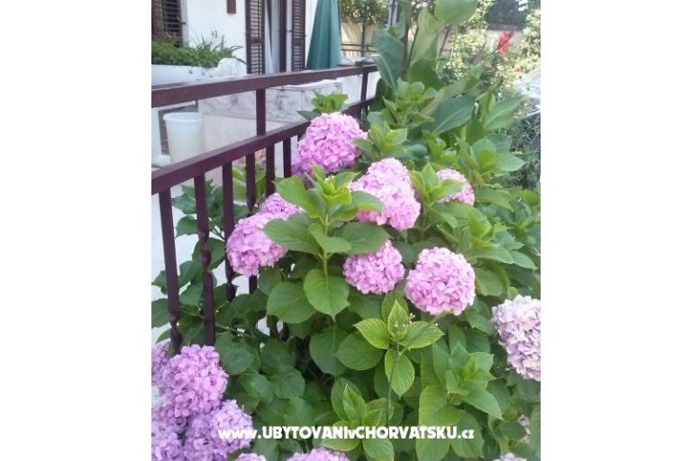 Apartmány Dana – foto 11